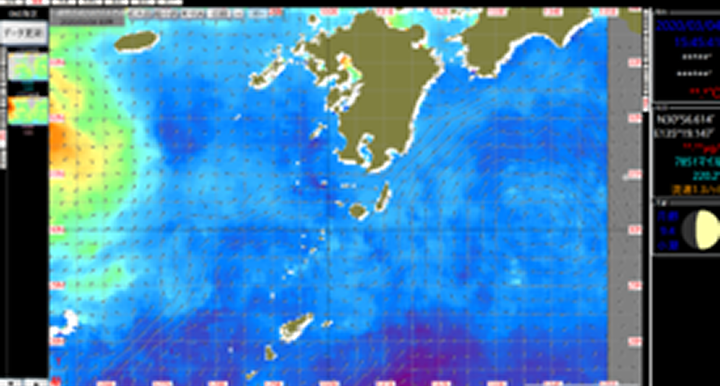 ヒマワリ水色図（図は、1W）